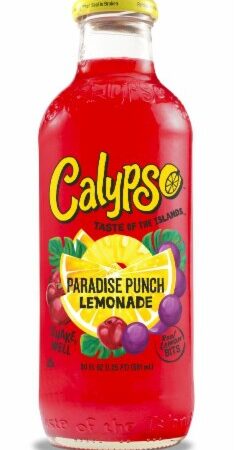 CALYPSO Paradise lemonade 20oz Bottle