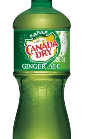 CANADA DRY GINGER ALE 20 oz